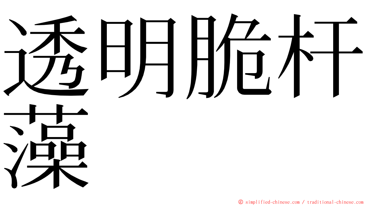 透明脆杆藻 ming font