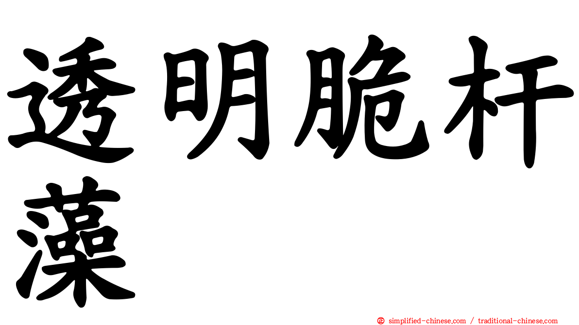 透明脆杆藻
