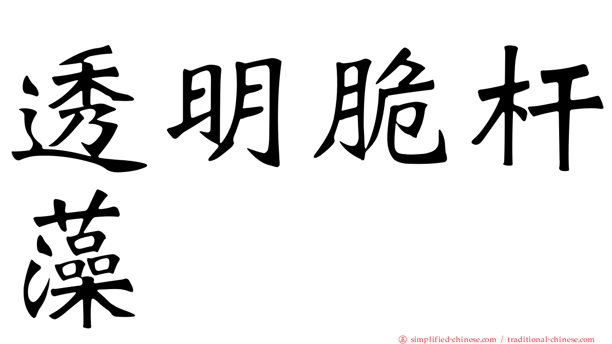 透明脆杆藻