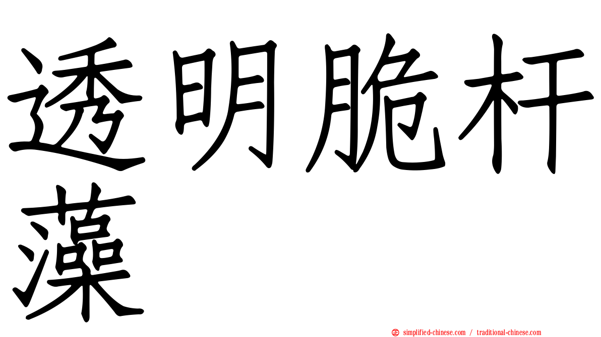 透明脆杆藻