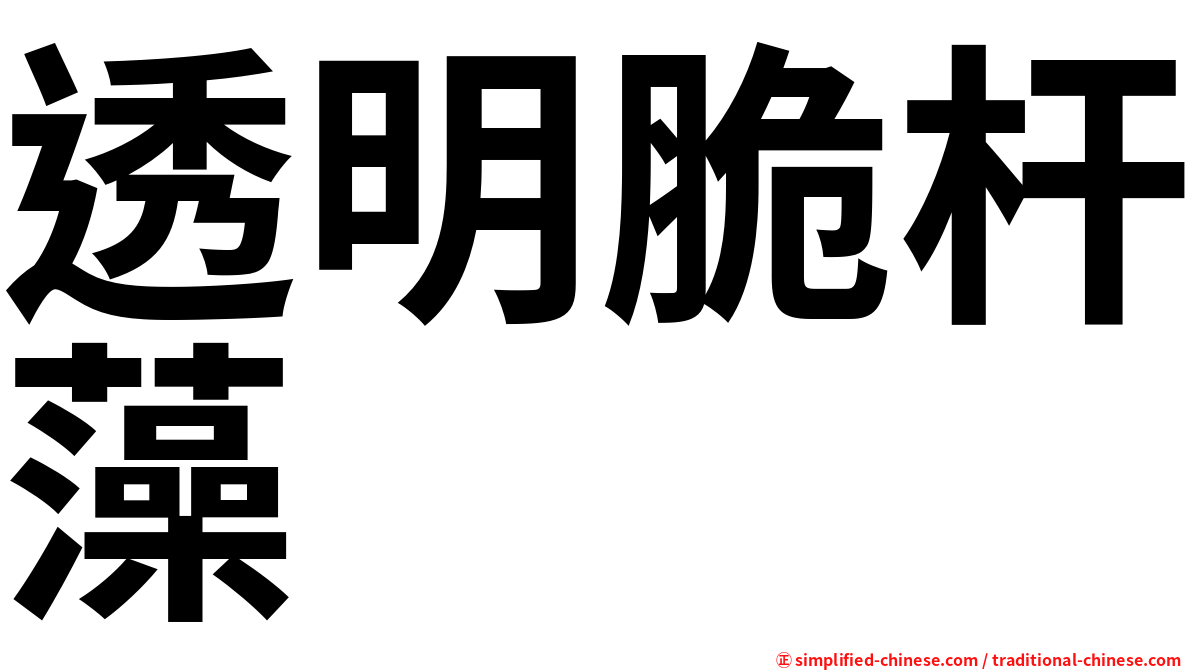 透明脆杆藻