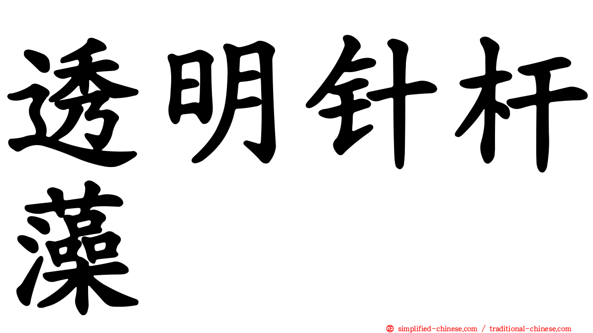 透明针杆藻