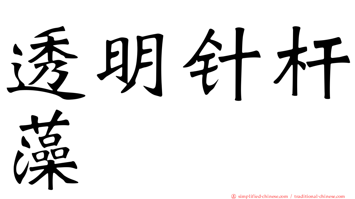 透明针杆藻