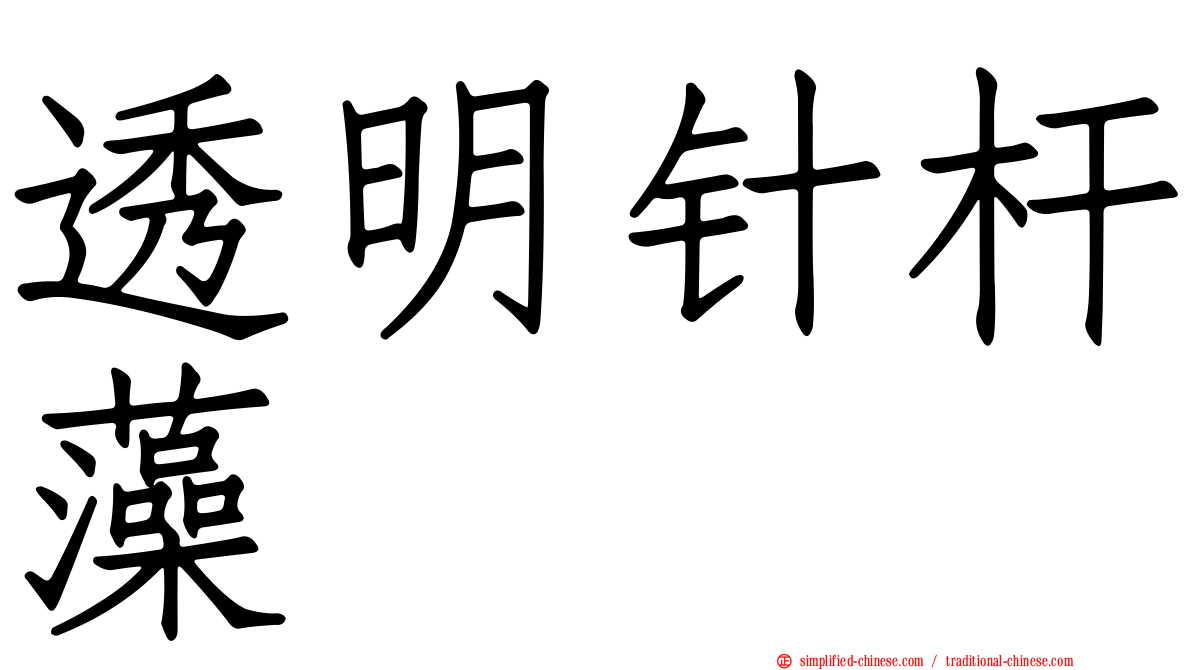 透明针杆藻