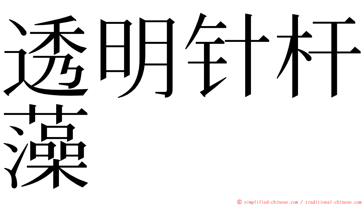 透明针杆藻 ming font