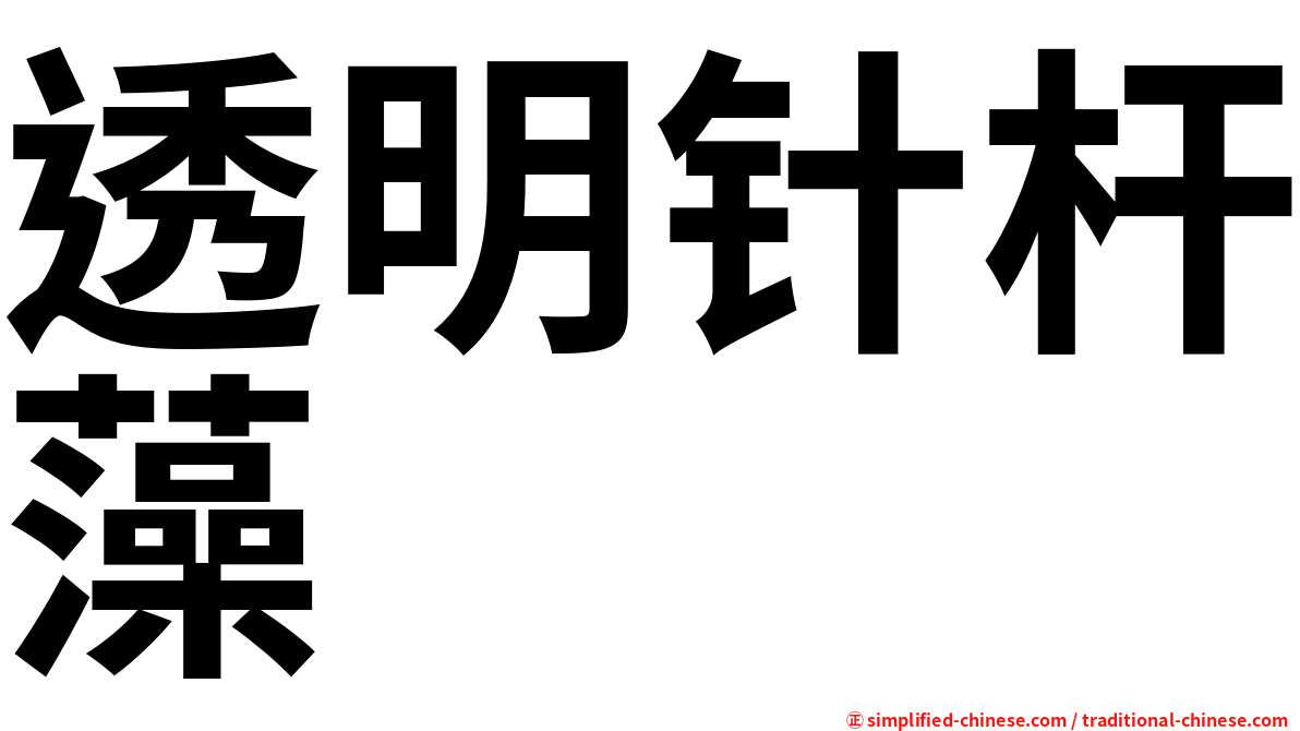 透明针杆藻