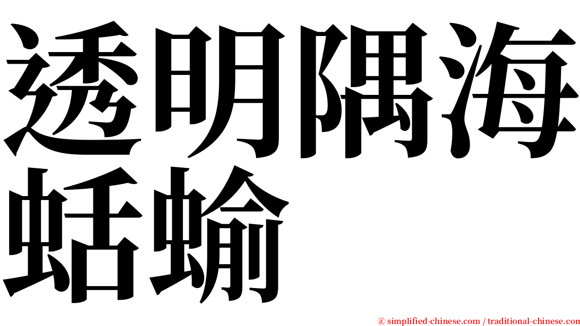 透明隅海蛞蝓 serif font