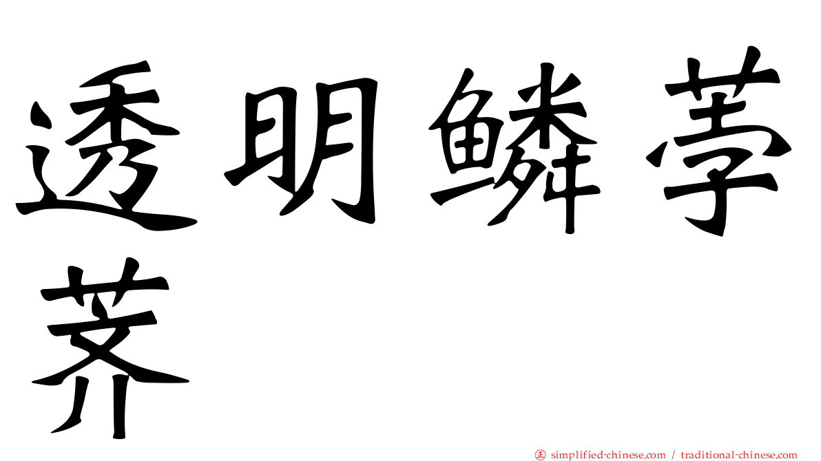 透明鳞荸荠
