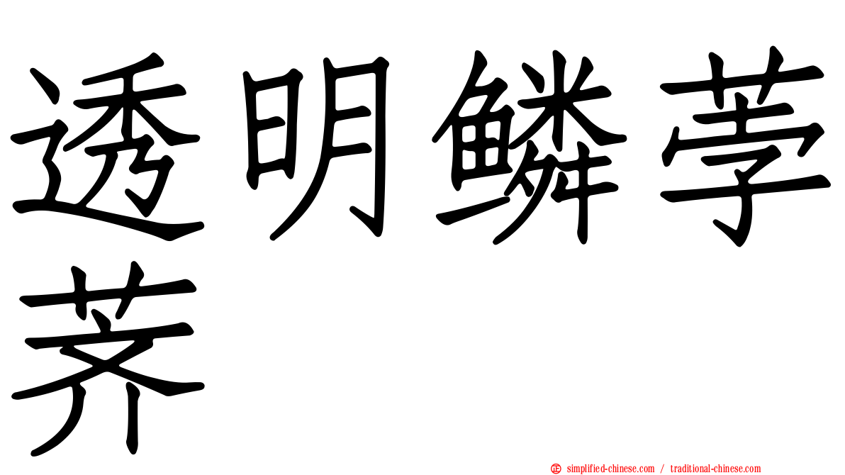 透明鳞荸荠