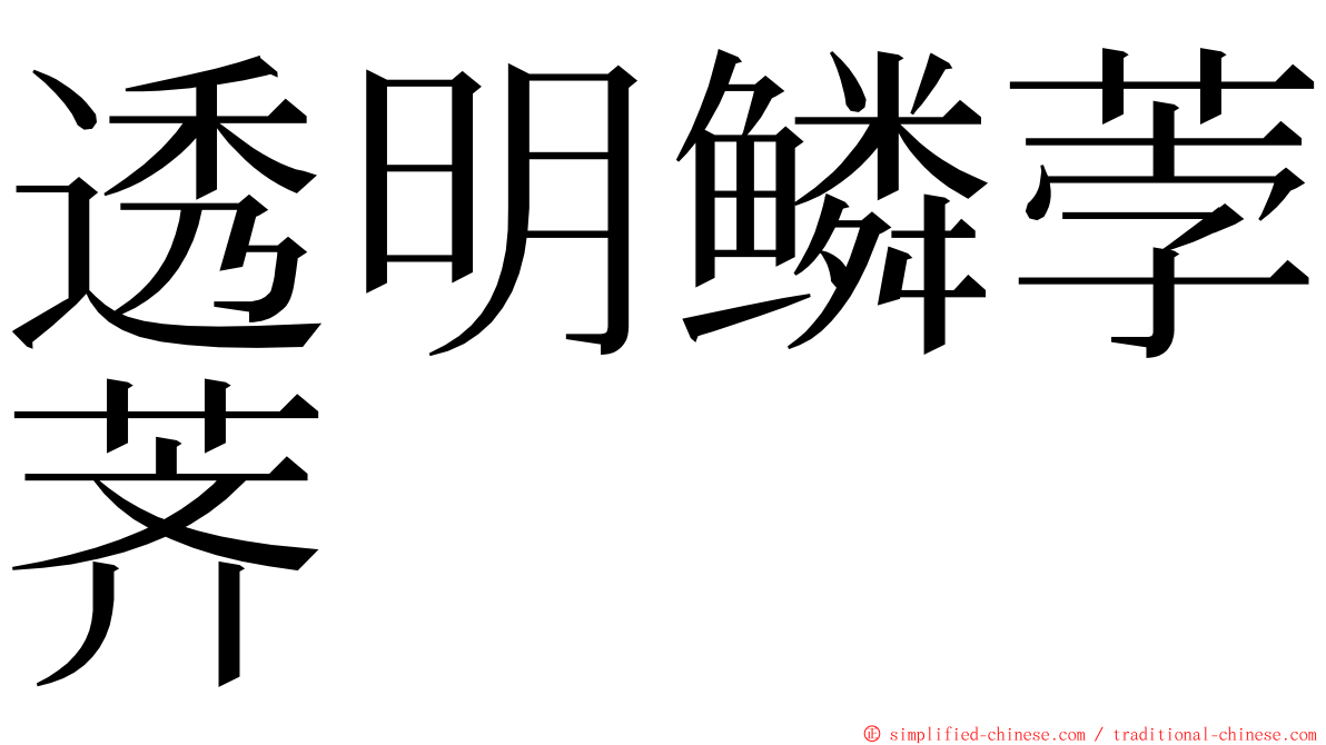 透明鳞荸荠 ming font