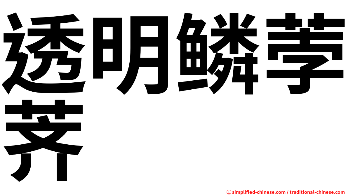 透明鳞荸荠
