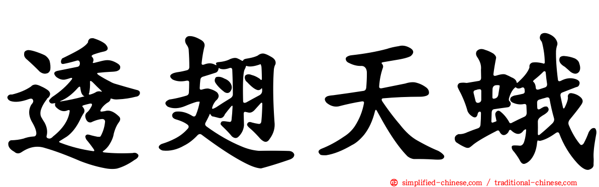 透翅天蛾