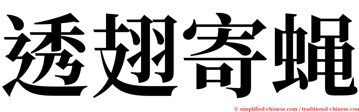 透翅寄蝇 serif font