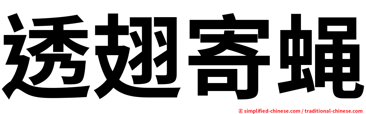 透翅寄蝇