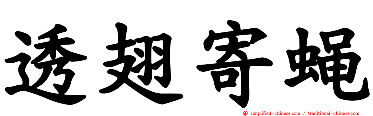 透翅寄蝇
