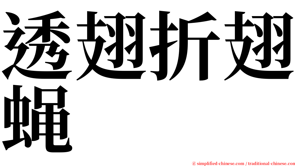 透翅折翅蝇 serif font