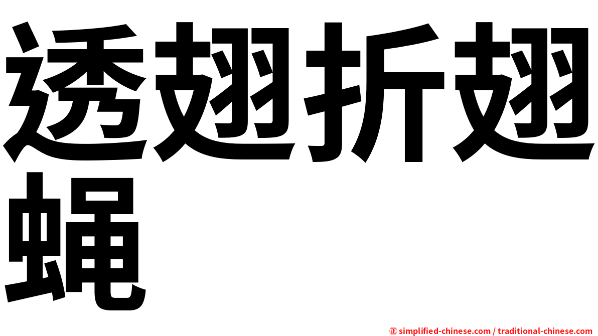 透翅折翅蝇