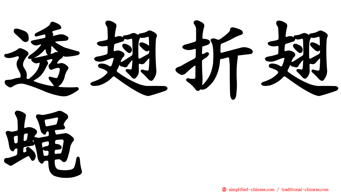 透翅折翅蝇