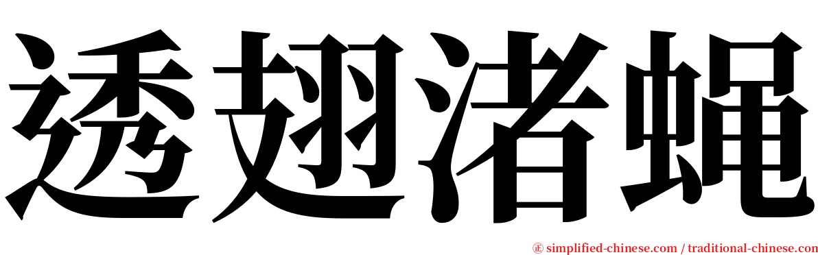 透翅渚蝇 serif font