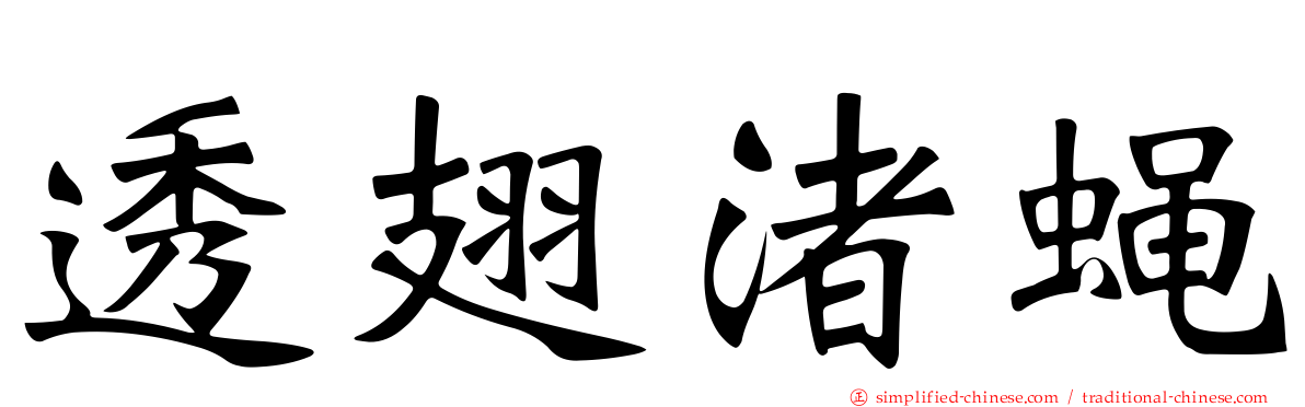 透翅渚蝇