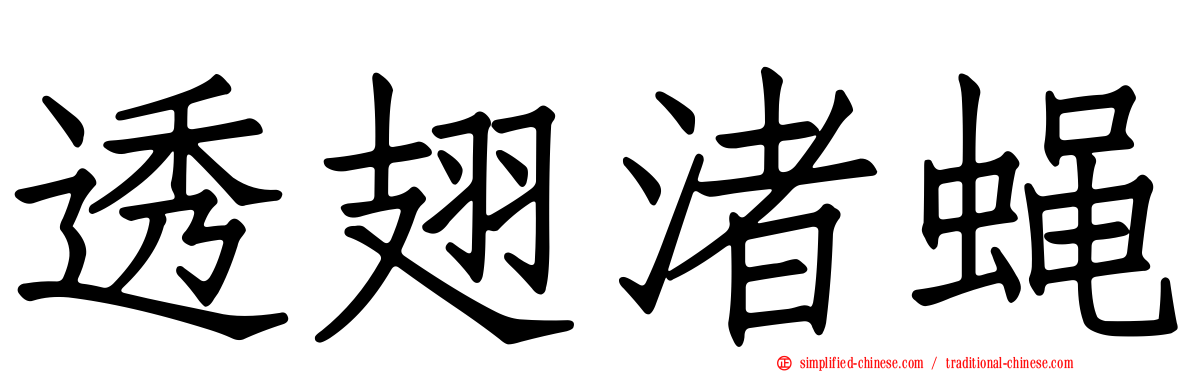 透翅渚蝇