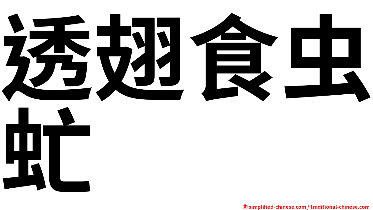 透翅食虫虻
