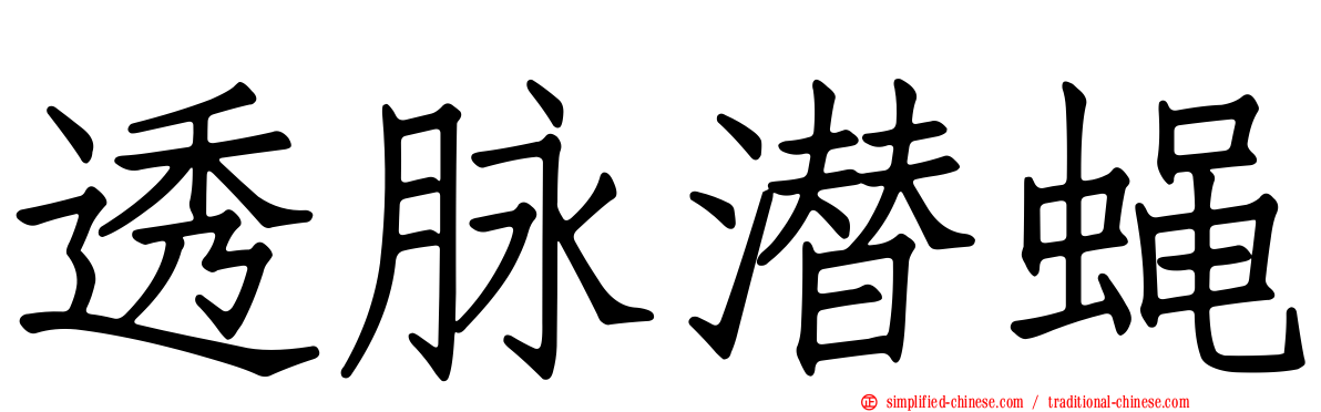 透脉潜蝇