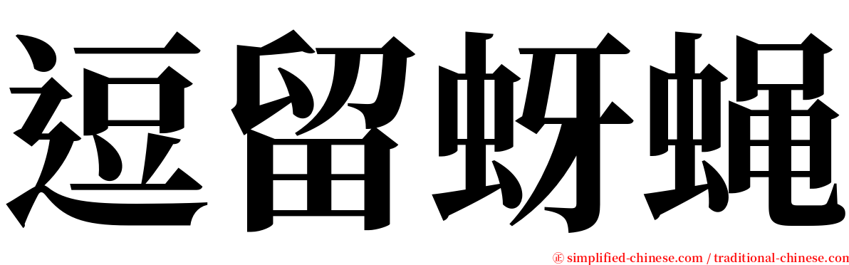 逗留蚜蝇 serif font