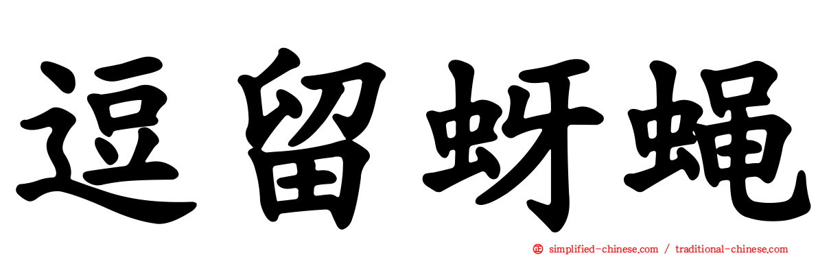 逗留蚜蝇