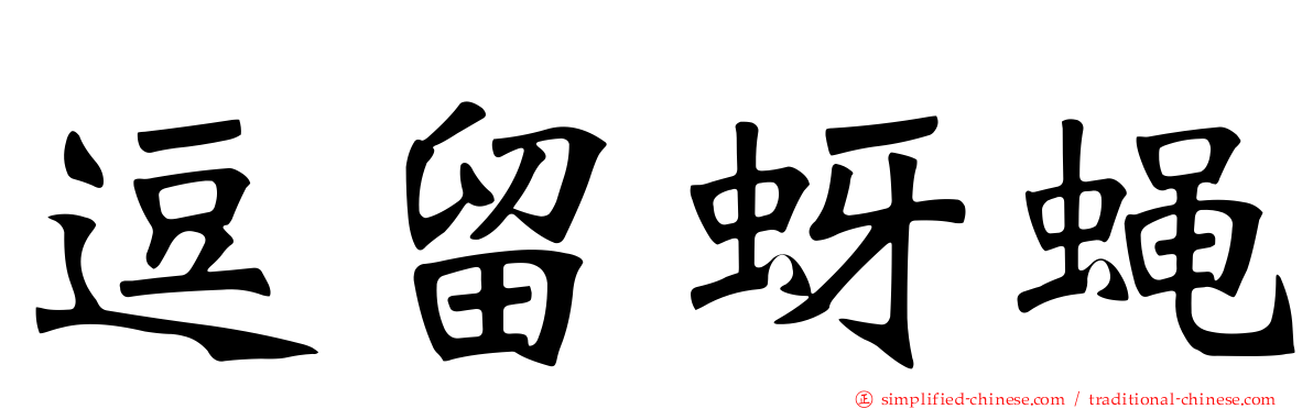 逗留蚜蝇