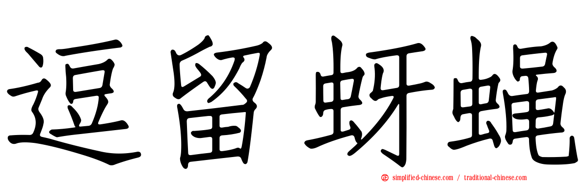 逗留蚜蝇