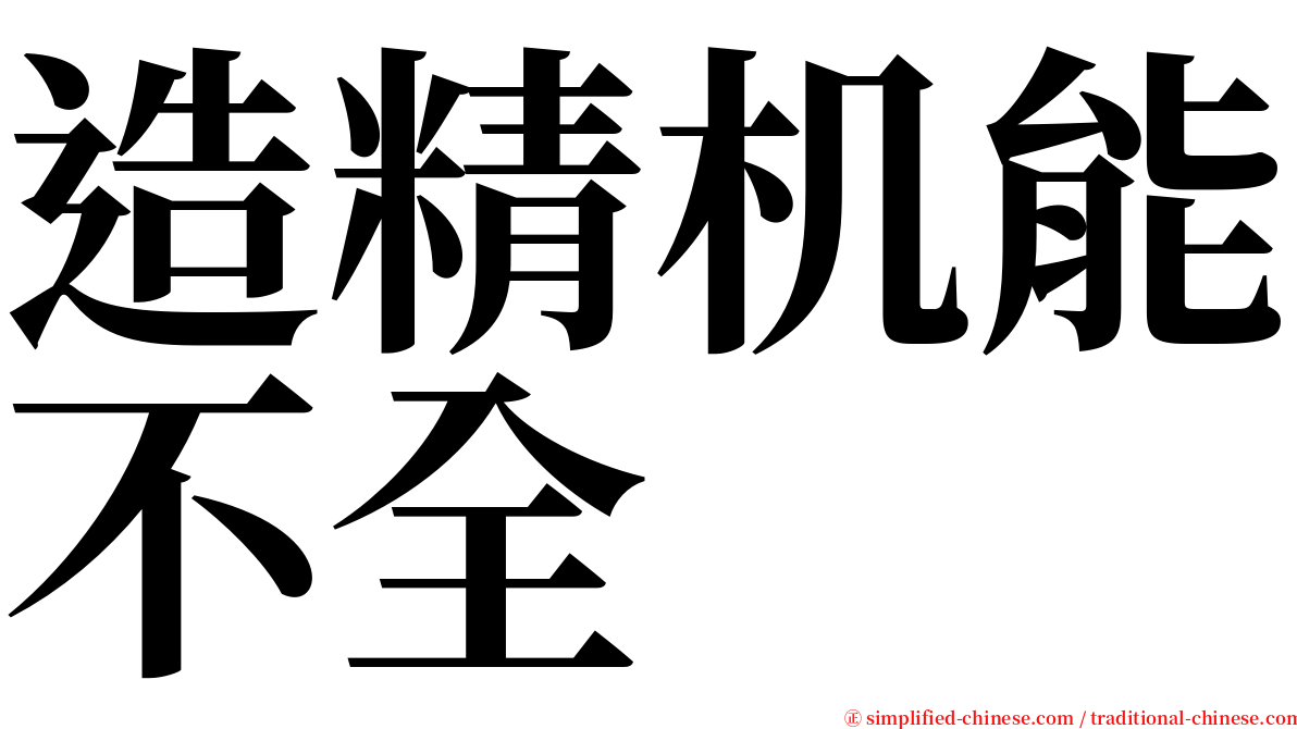 造精机能不全 serif font