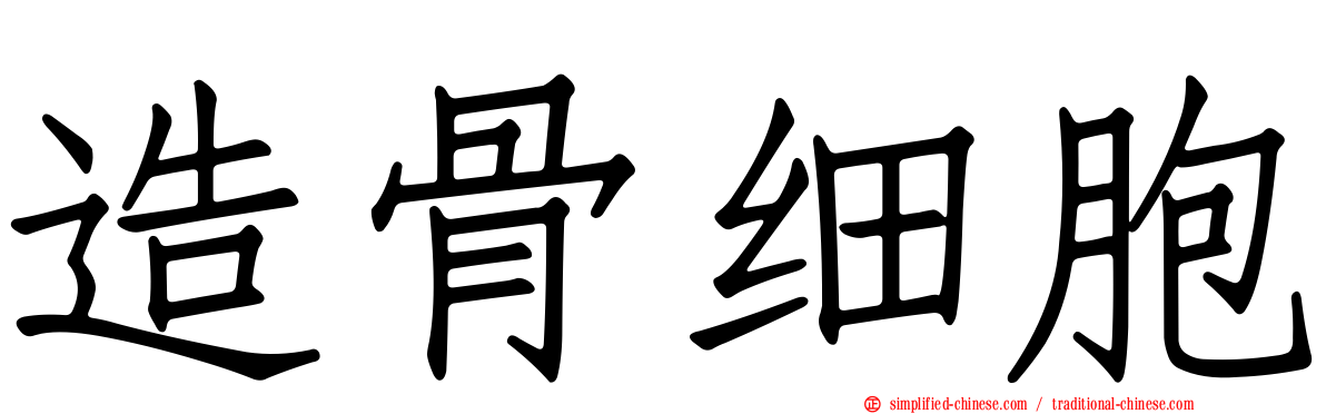 造骨细胞