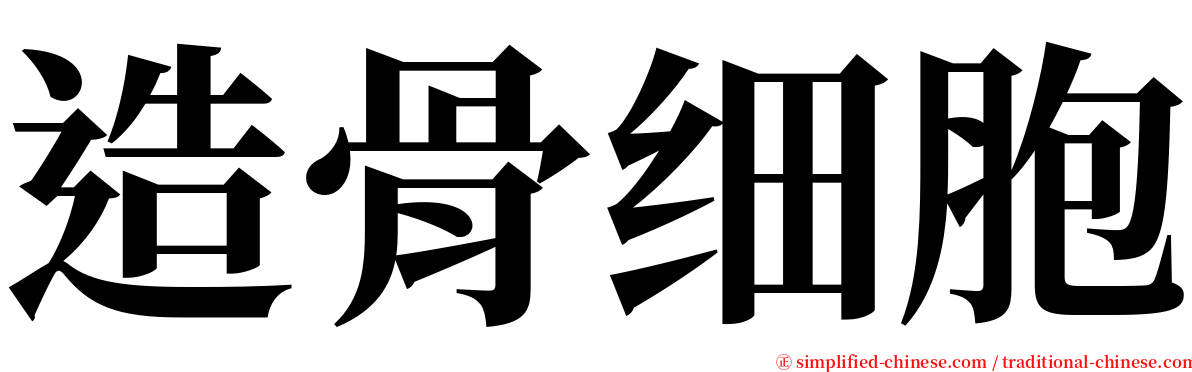 造骨细胞 serif font