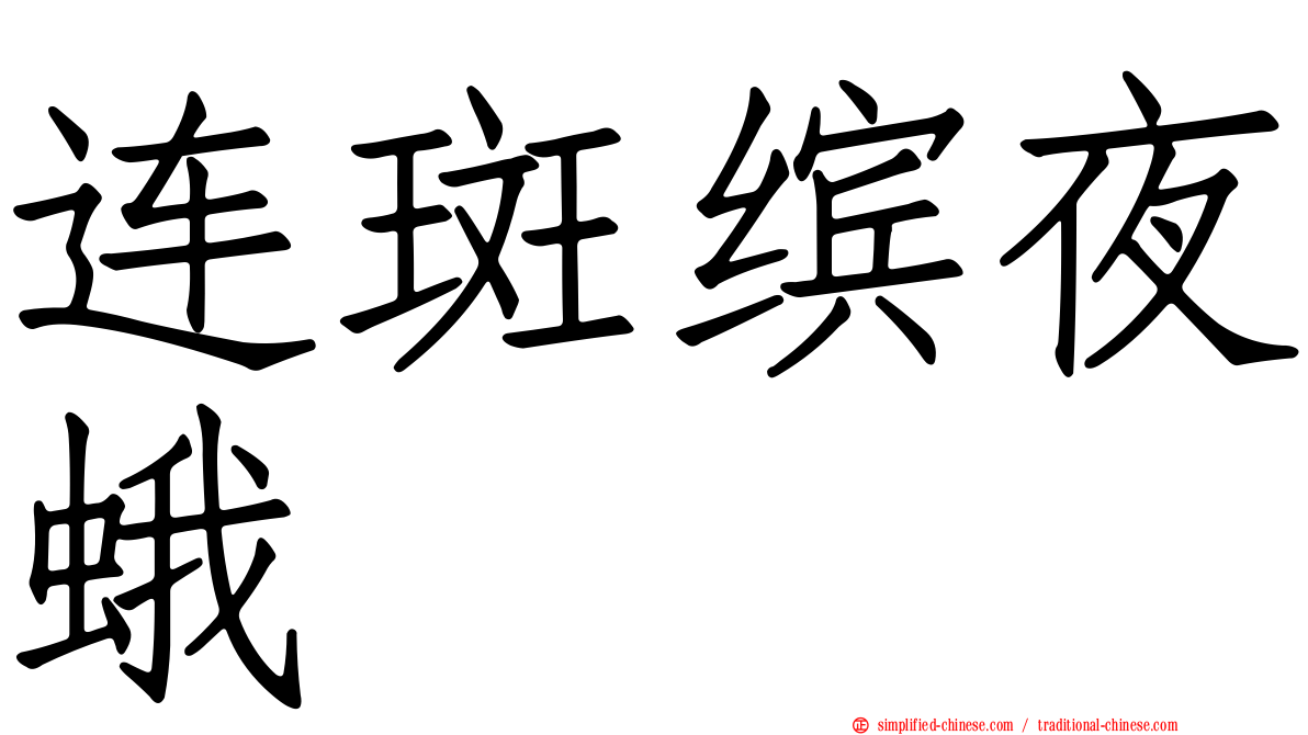 连斑缤夜蛾