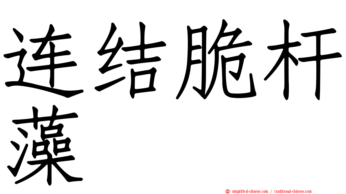 连结脆杆藻