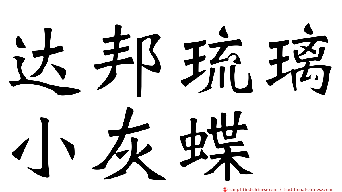 达邦琉璃小灰蝶