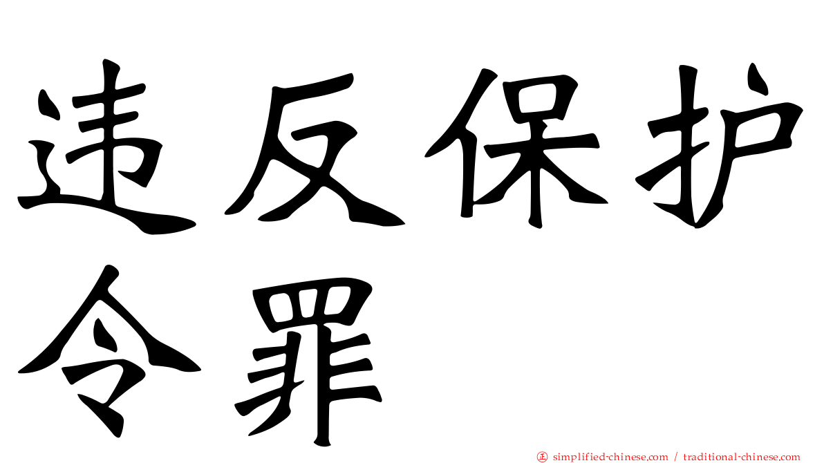 违反保护令罪