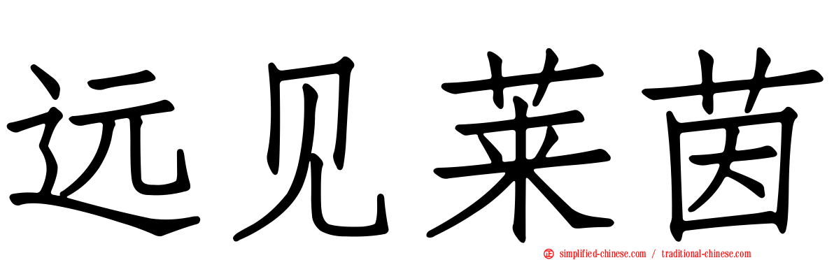 远见莱茵