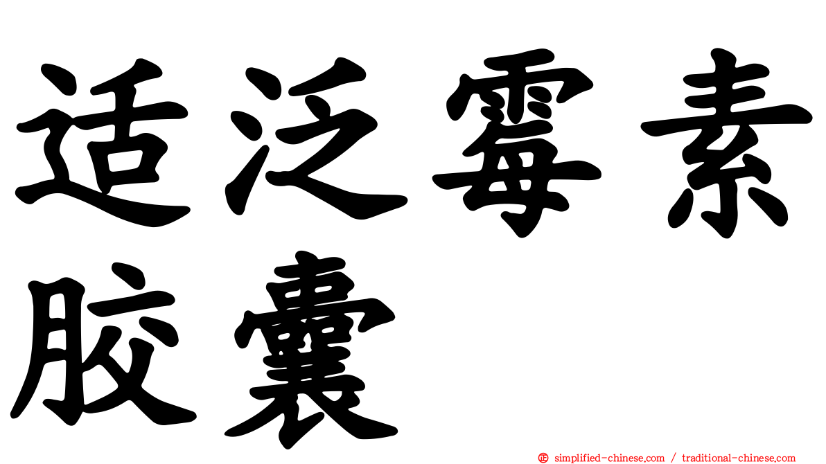 适汎霉素胶囊