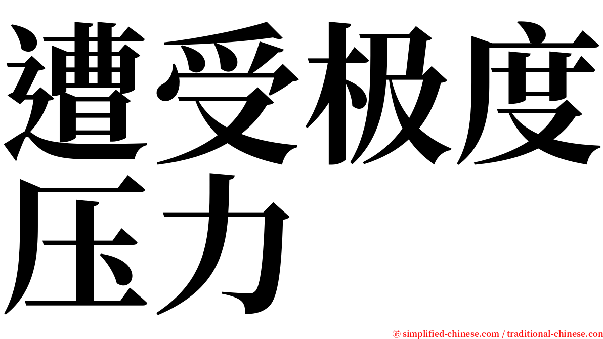 遭受极度压力 serif font