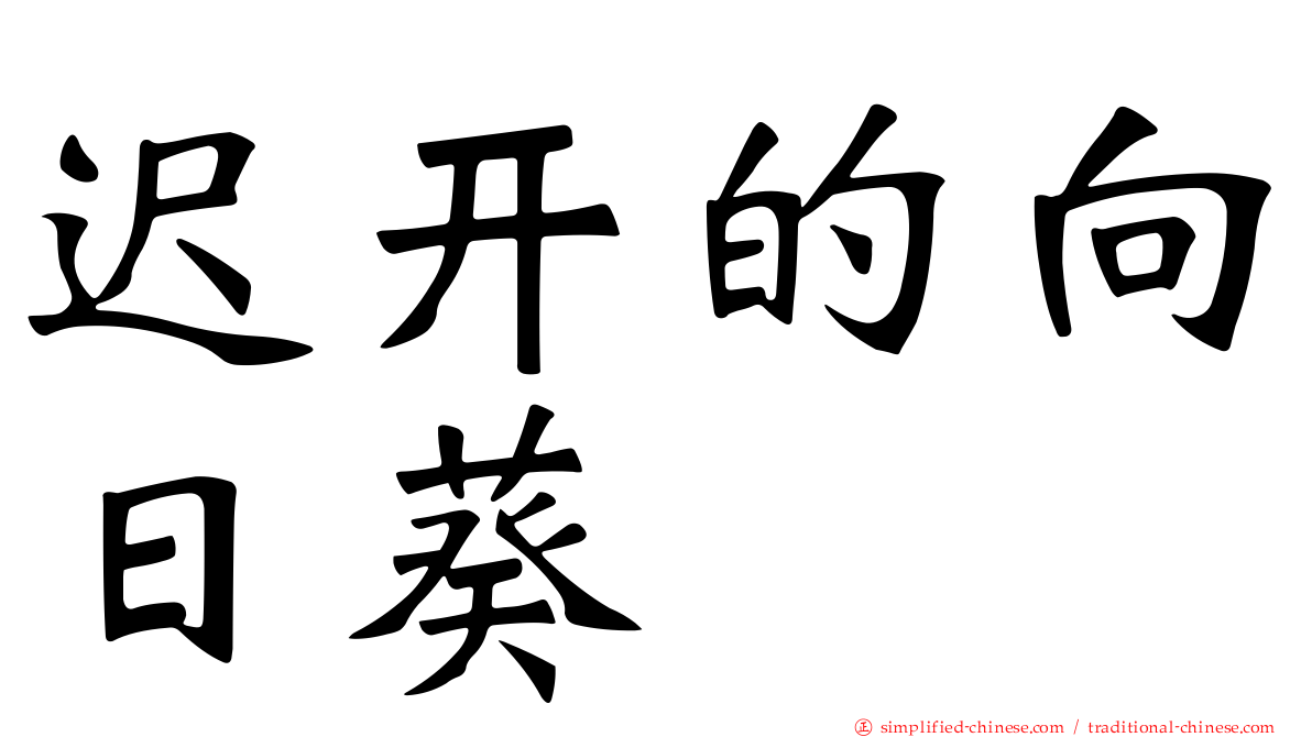 迟开的向日葵