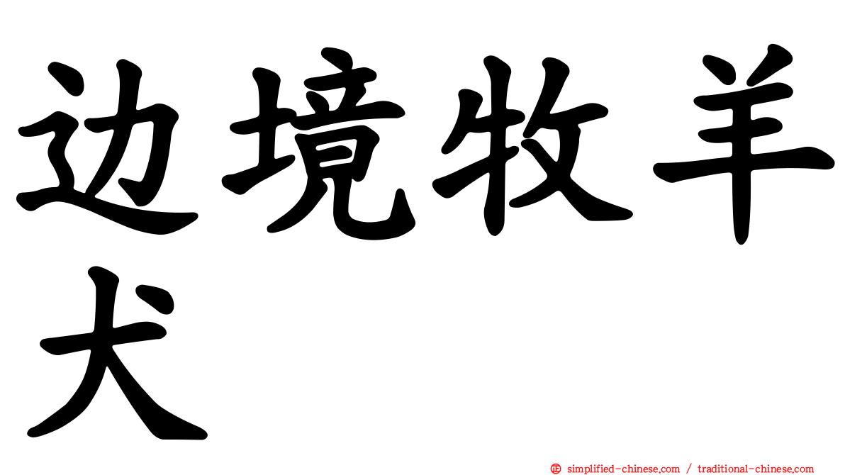 边境牧羊犬
