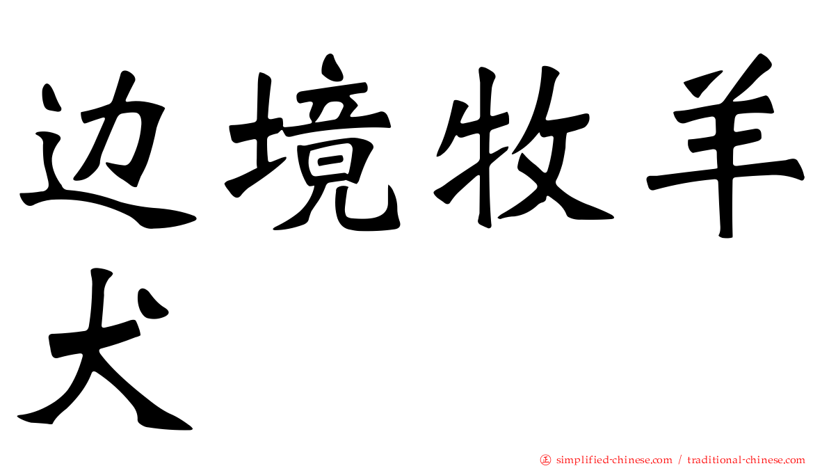 边境牧羊犬