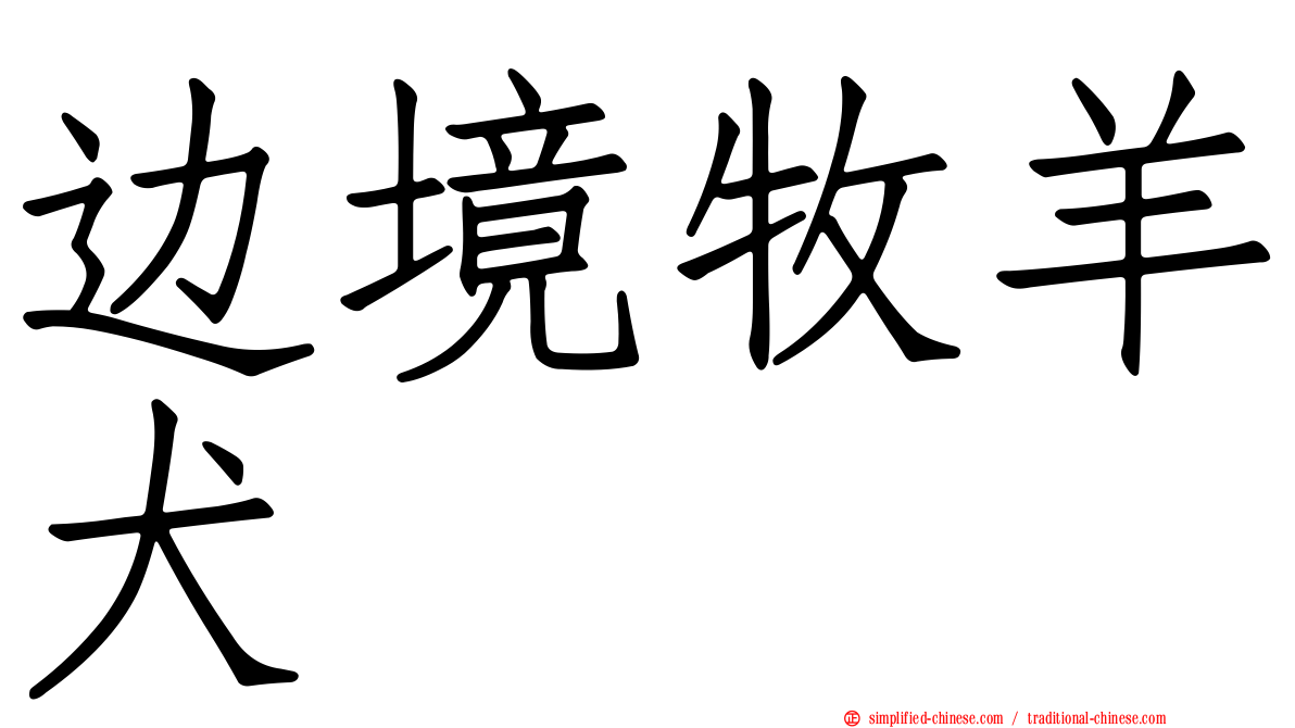 边境牧羊犬