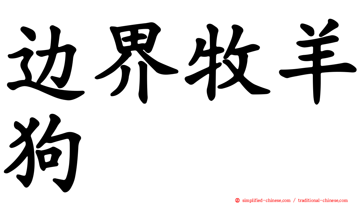 边界牧羊狗