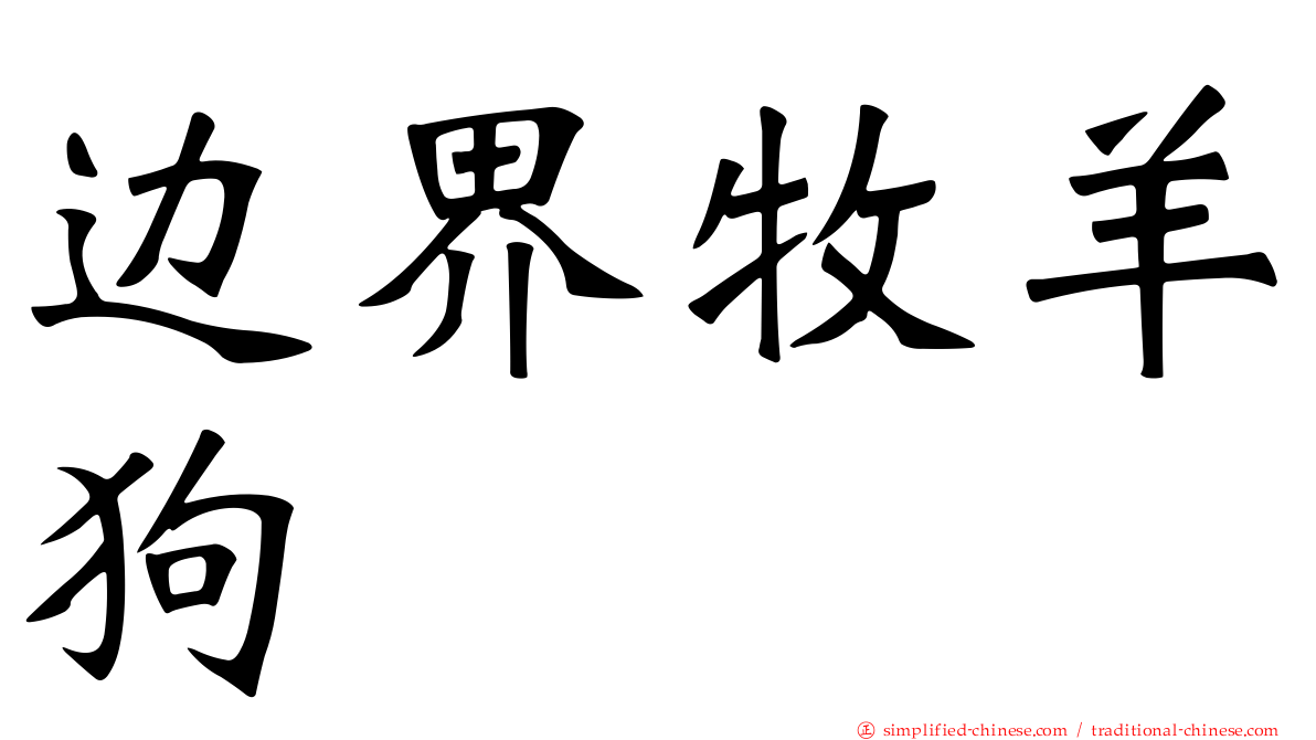 边界牧羊狗
