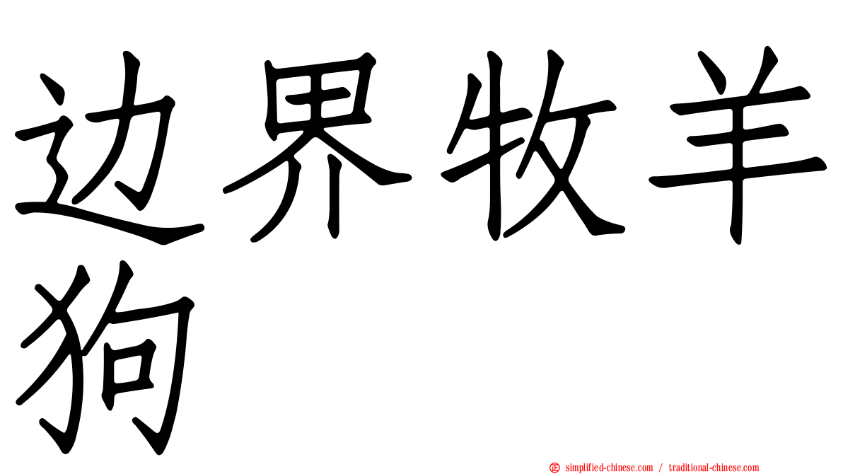 边界牧羊狗