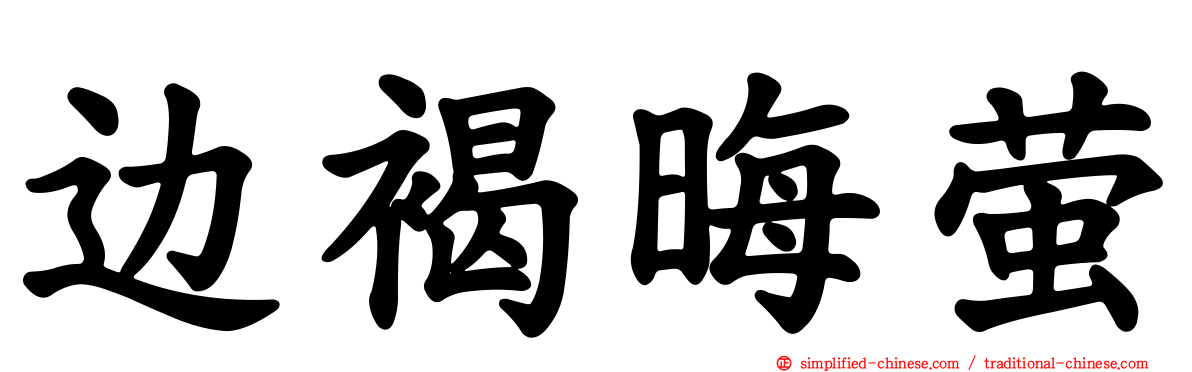边褐晦萤