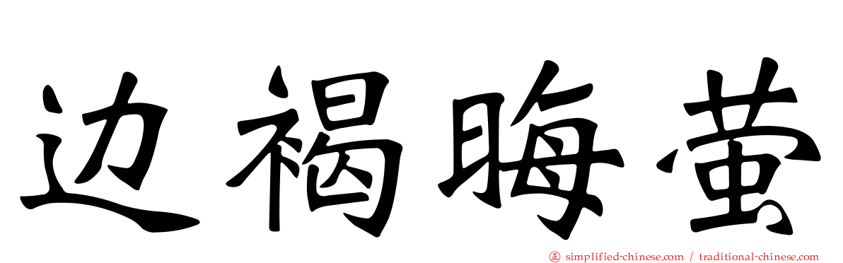 边褐晦萤